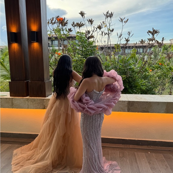 Elegant Pink Evening Gown - Picture 2 of 7